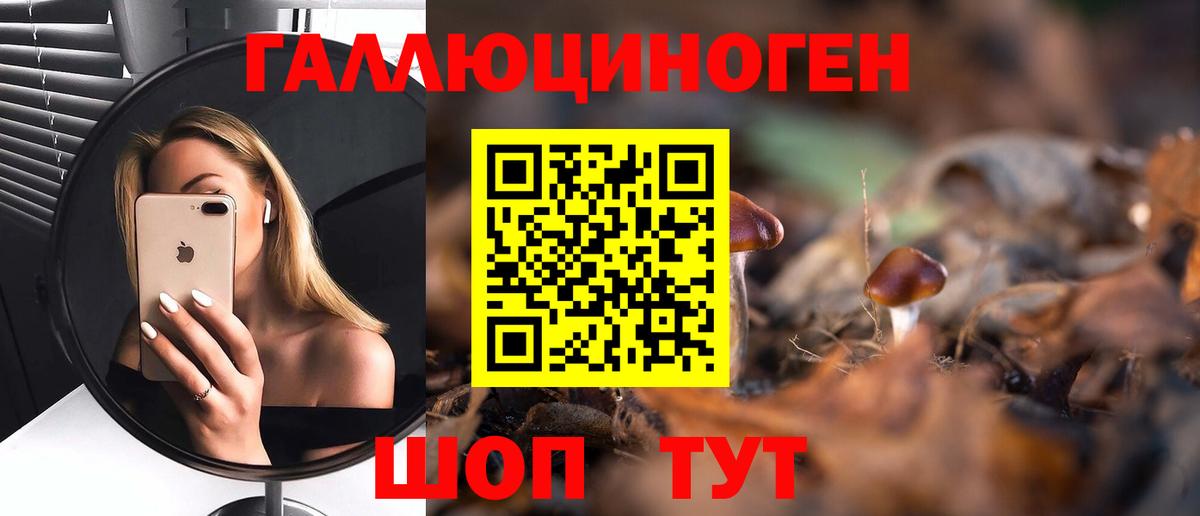 Кирово-Чепецк  Галлюциногенные грибы GOLDEN TEACHER  как найти закладки  Вход с VPN 